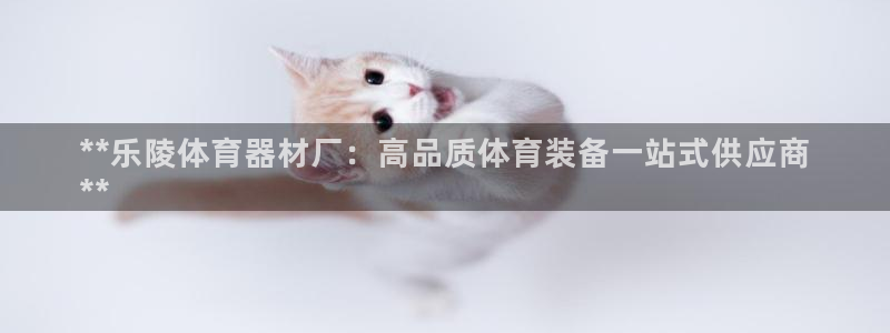 耀世平台总代理是谁：**乐陵体育器材厂：高品质体育装
