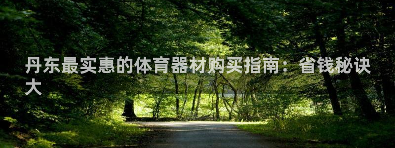 耀世娱乐是玛雅旗下的吗：丹东最实惠的体育器材购买指南