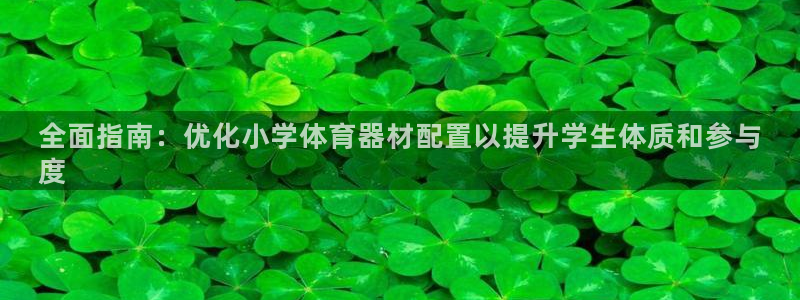 耀世登场的意思：全面指南：优化小学体育器材配置以提升