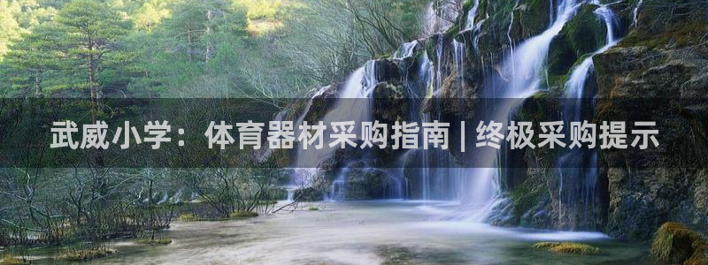 耀世平台有很多登录地址：武威小学：体育器材采购指南 