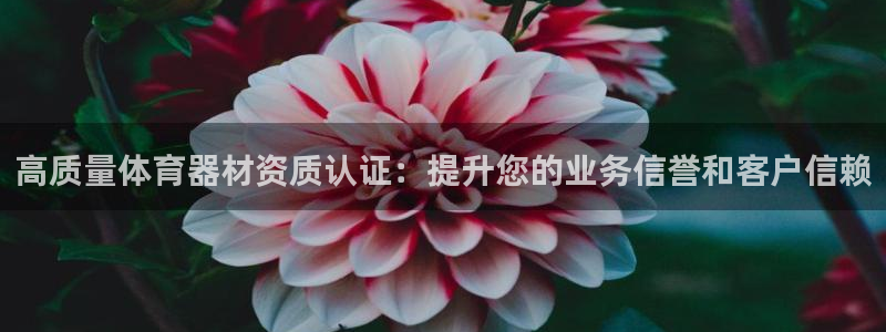 耀世娱乐建334-82 主管：高质量体育器材资质认证