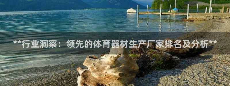 耀世是什么游戏：**行业洞察：领先的体育器材生产厂家