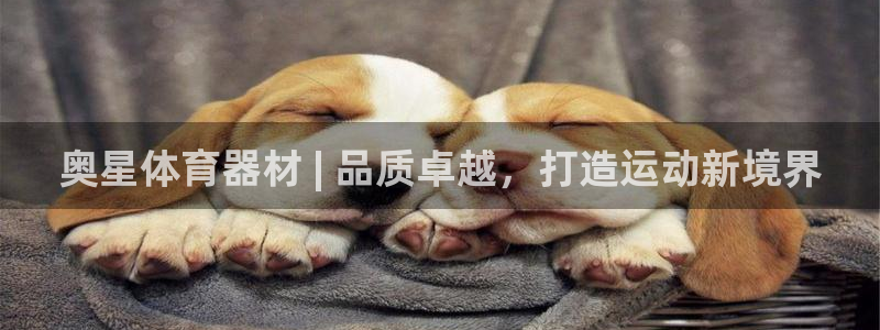 耀世娱乐平台注册地址在哪里看：奥星体育器材 | 品质