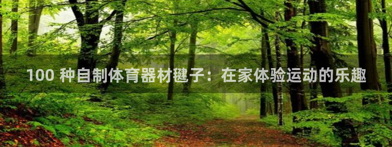 耀世娱乐登陆地址怎么改：100 种自制体育器材毽子：