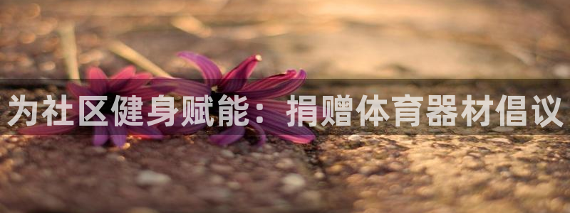 耀世娱乐平台官网登录不了了：为社区健身赋能：捐赠体育
