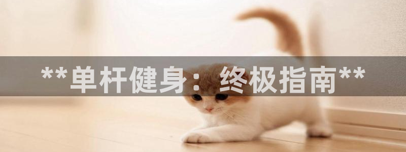 耀世天下是什么意思啊：**单杆健身：终极指南**