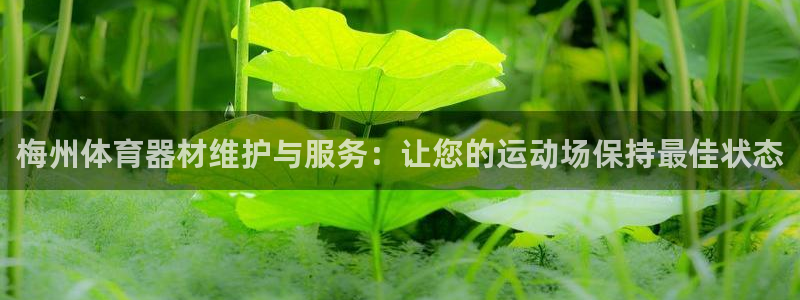 耀世平台荐 5o69I7：梅州体育器材维护与服务：让