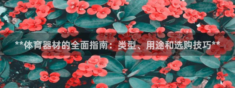 耀世娱乐电 5O6917 娱乐：**体育器材的全面指