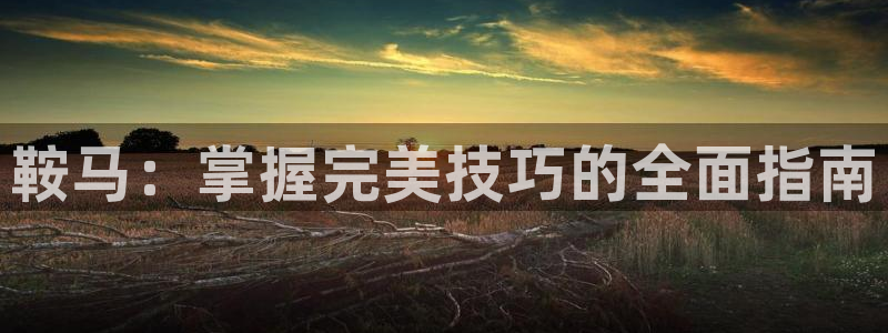 耀世集团罗文斌：鞍马：掌握完美技巧的全面指南