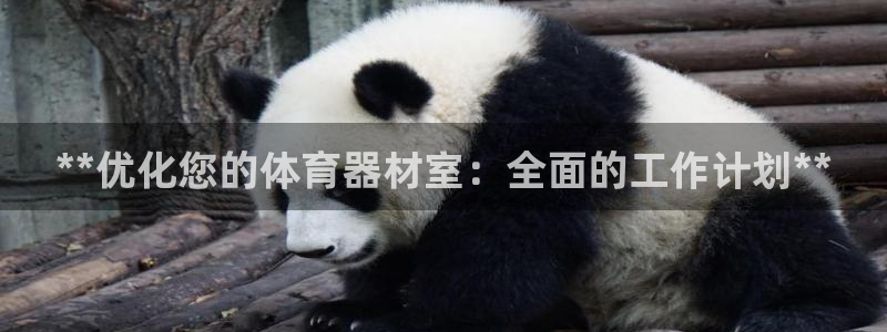 耀世平台注册网址查询：**优化您的体育器材室：全面的