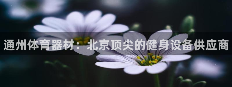 耀世平台客服24小时在线咨询电话：通州体育器材：北京