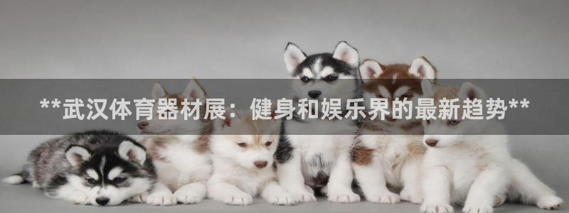 耀世官网注册时间：**武汉体育器材展：健身和娱乐界的