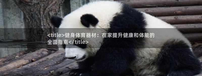 耀世娱乐下载最新版本安装：<title>健身体育器材