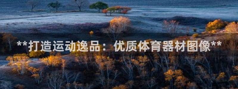 耀世官网注册：**打造运动逸品：优质体育器材图像**