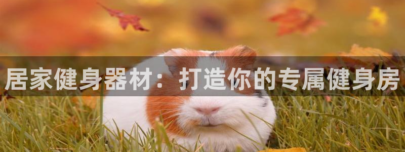 耀世娱乐丁6.7.5.1.3.8：居家健身器材：打造
