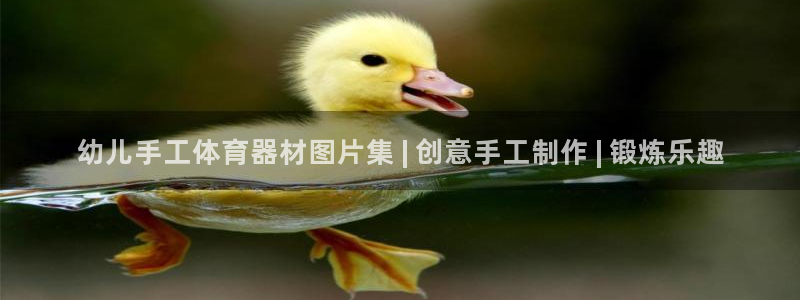 耀世集团商业联盟罗文斌主任
