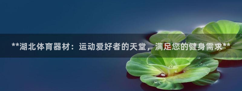 耀世娱乐网址是什么软件：**湖北体育器材：运动爱好者