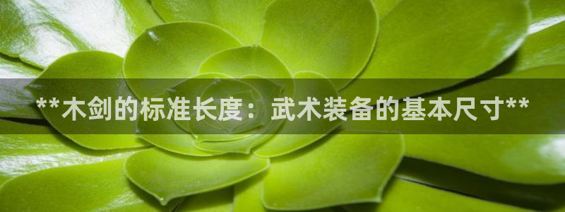 耀世娱乐下载最新版本安装包大全：**木剑的标准长度：
