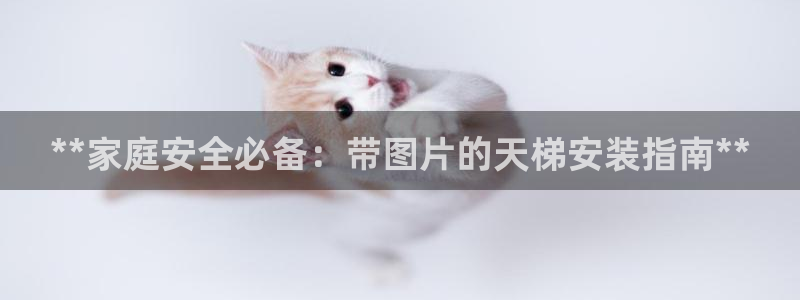 耀世平台人才：**家庭安全必备：带图片的天梯安装指南