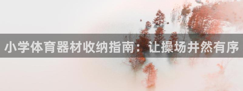 耀世平台代理怎么样啊：小学体育器材收纳指南：让操场井