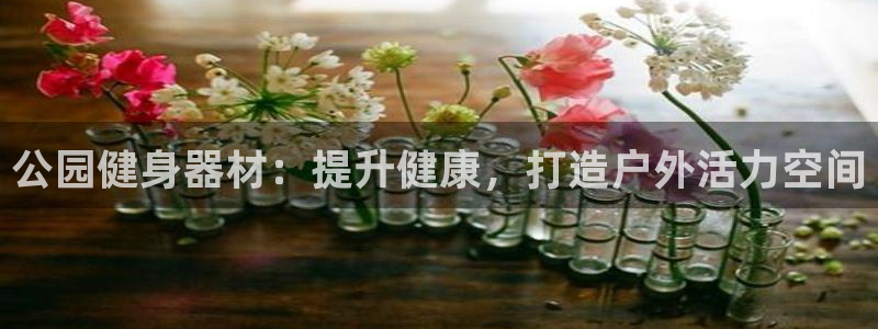 耀世娱乐是个什么平台啊：公园健身器材：提升健康，打造