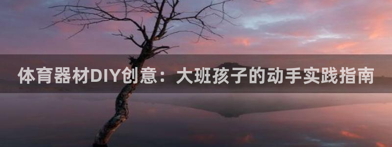 耀世集团小视频：体育器材DIY创意：大班孩子的动手实