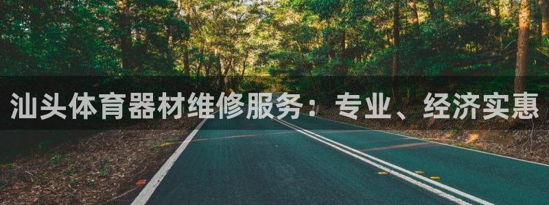 耀世集团商业联盟罗文斌：汕头体育器材维修服务：专业、