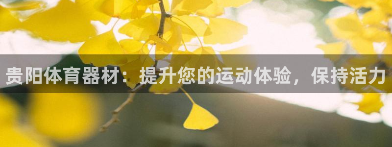 耀世集团公益：贵阳体育器材：提升您的运动体验，保持活