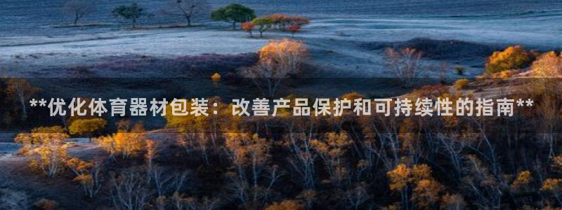 耀世国际集团是国企吗：**优化体育器材包装：改善产品