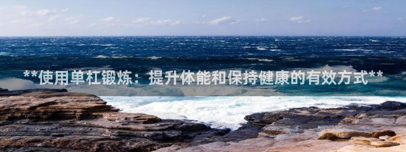 耀世娱乐联3.7.9.9.7 主管：**使用单杠锻炼
