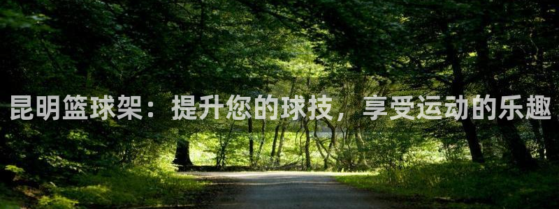 耀世而出：昆明篮球架：提升您的球技，享受运动的乐趣