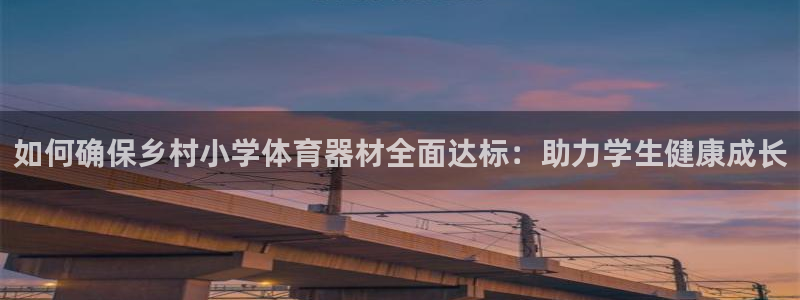 耀世集团视频直播是真的吗：如何确保乡村小学体育器材全