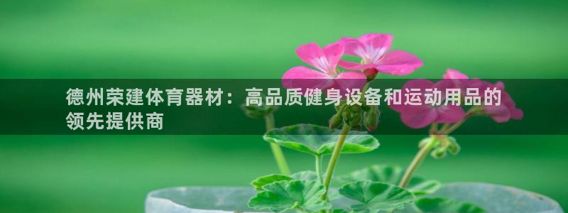 六星耀世什么意思：德州荣建体育器材：高品质健身设备和