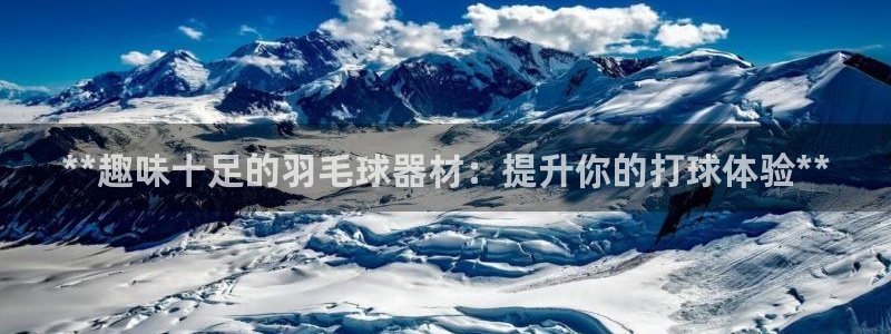 耀世娱乐登入：**趣味十足的羽毛球器材：提升你的打球
