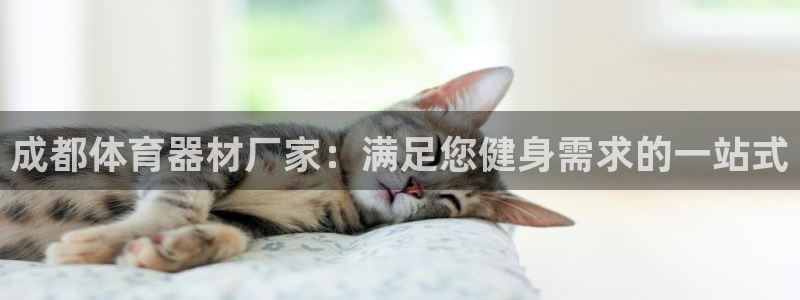 耀世天下和如日中天哪个好：成都体育器材厂家：满足您健