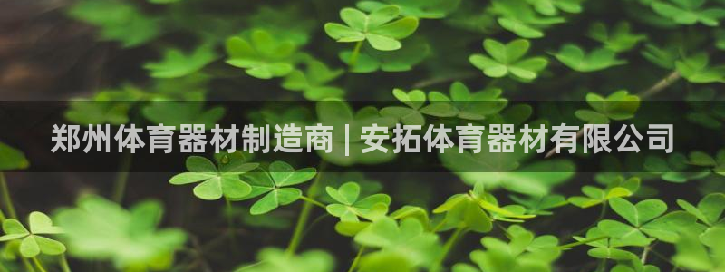 耀世国际集团是国企吗还是私企：郑州体育器材制造商 |