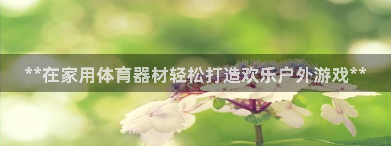 耀世开业：**在家用体育器材轻松打造欢乐户外游戏**