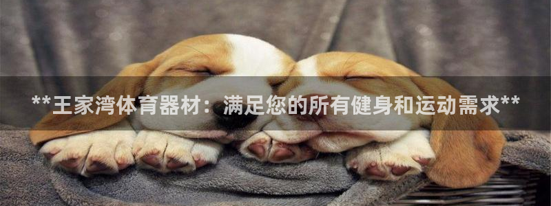耀世平台实7O777：**王家湾体育器材：满足您的所