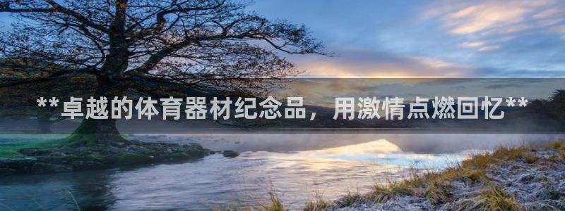 耀世盛典官网入口：**卓越的体育器材纪念品，用激情点