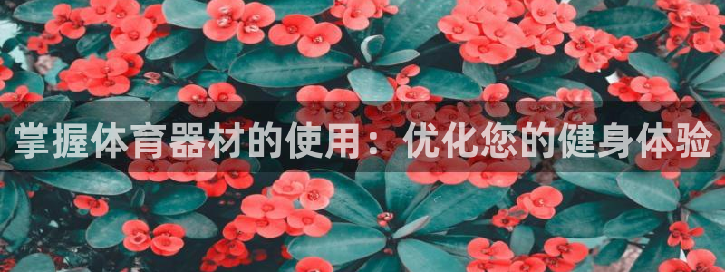 耀世微光歌曲下载：掌握体育器材的使用：优化您的健身体