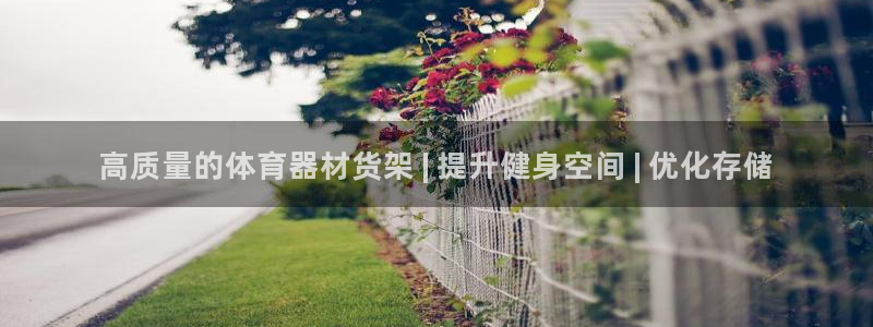 耀世娱乐网站下载：高质量的体育器材货架 | 提升健身
