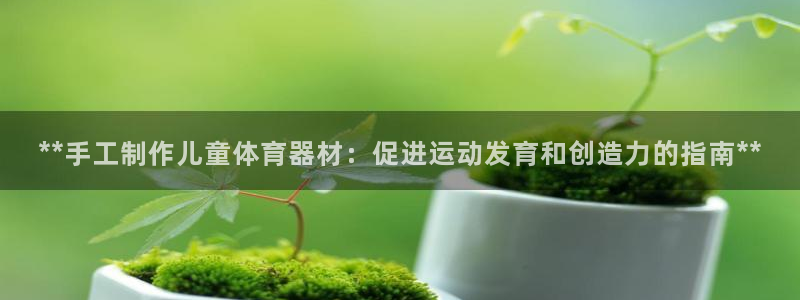 耀世盛典手游：**手工制作儿童体育器材：促进运动发育