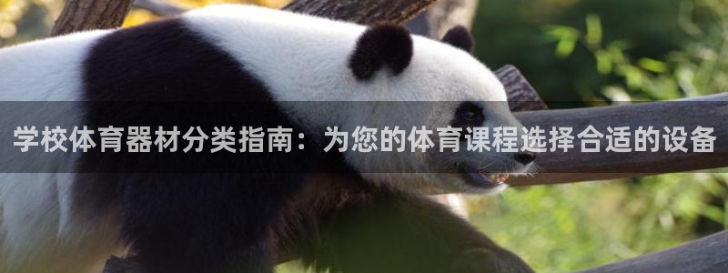 耀世娱乐网址是什么啊：学校体育器材分类指南：为您的体