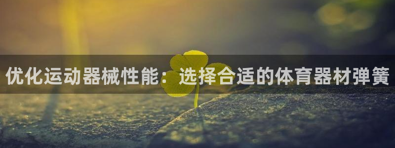 耀世集团是干嘛的：优化运动器械性能：选择合适的体育器