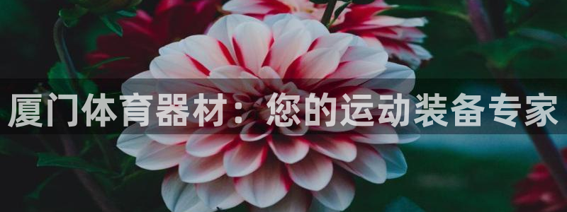耀世国际集团是国企吗：厦门体育器材：您的运动装备专家