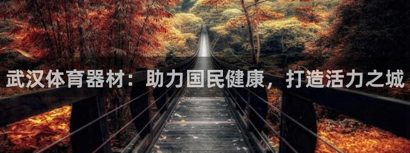 耀世微光 歌词：武汉体育器材：助力国民健康，打造活力