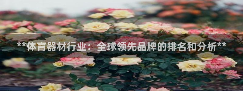 耀世登场下一句：**体育器材行业：全球领先品牌的排名
