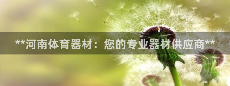 耀世娱乐网址是什么软件：**河南体育器材：您的专业器