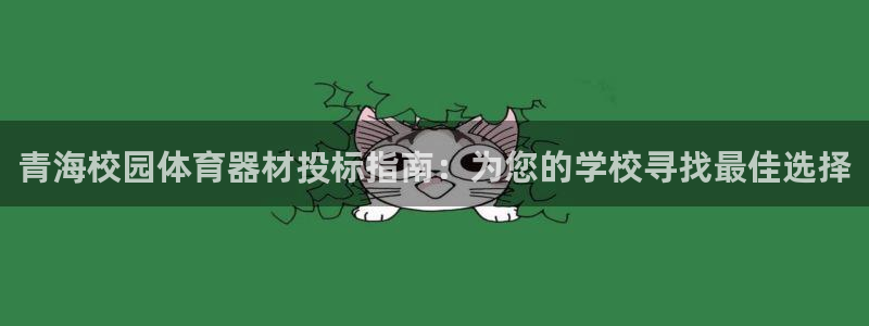 耀世集团是什么电影里的人物：青海校园体育器材投标指南