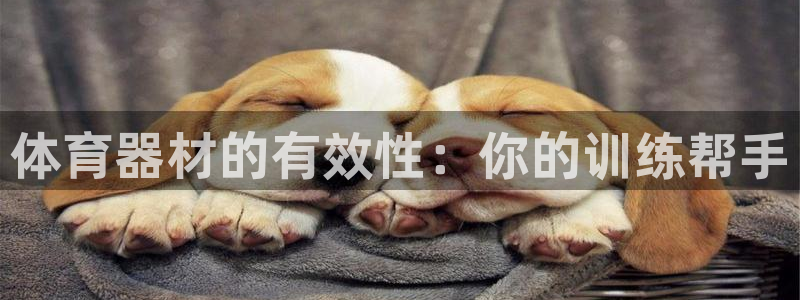 耀世娱乐如何登录平台号：体育器材的有效性：你的训练帮